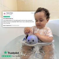 Junction Splash Whale™